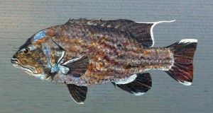 fish-300x160